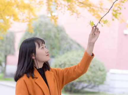 菲律宾旅游投资项目排名(旅游投资项目推荐)